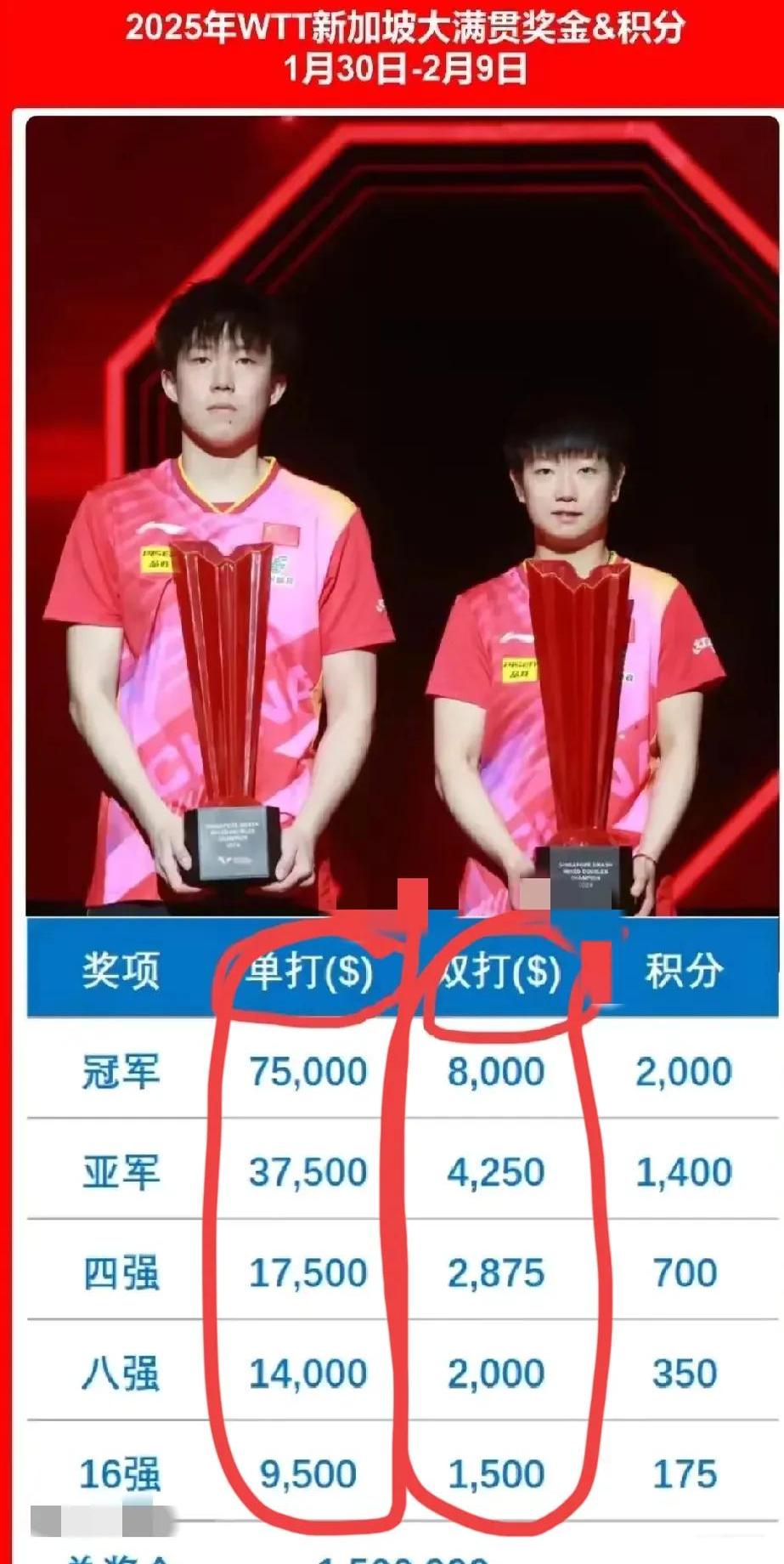 新晋选手击败老牌强手，创造奇迹