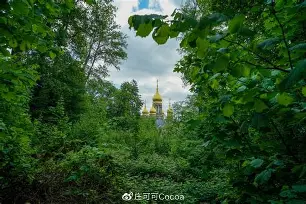 关于威斯巴登的失利：王室红白军团的颓势的信息